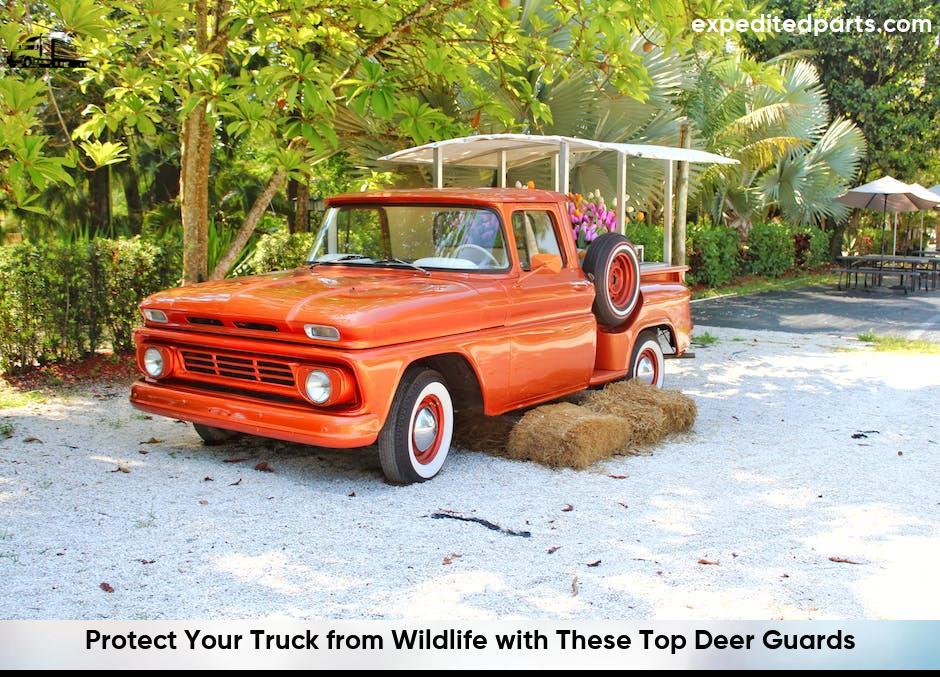 Deer Guards For Trucks